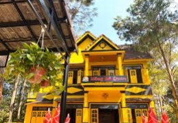 Măng Đỏ Quán Măng Đen: Khám phá hương vị núi rừng đặc trưng