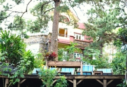 Moonrise Garden Đà Lạt: Homestay tựa tranh, vườn thơ mộng