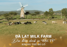 Review Đà Lạt Milk Farm: Nông trại sữa sống ảo cực phẩm Đà Lạt