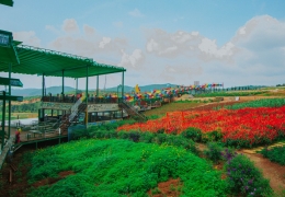 Review Mê Linh Coffee Garden Đà Lạt 2026: View hồ cực đỉnh