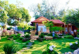 Sora Homestay Pleiku: Nơi bình yên giữa lòng phố núi, thư giãn tuyệt vời.
