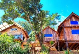 Tổ Chim Ri Măng Đen - Trải Nghiệm Homestay Độc Đáo Giữa Rừng Thông Xanh