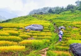 Trekking Kon Tum: Khám Phá Đại Ngàn, Chinh Phục Thử Thách
