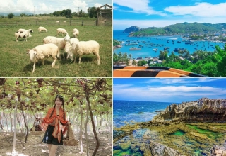 Tour Hồ Chí Minh Phan Rang 3 ngày 2 đêm