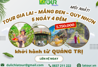Tour Quảng Trị - Gia Lai - Măng Đen - Quy Nhơn 5 Ngày 4 Đêm