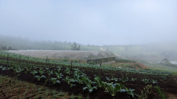 Bản địa hóa trải nghiệm ở Măng Đen