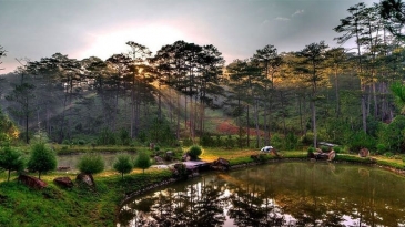 Bidoup – Núi Bà Đà Lạt: Thiên đường trekking, săn mây tuyệt đẹp