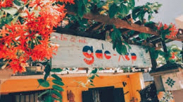 Cà Phê Kon Tum: View Đẹp Ngất Ngây, Check-in Sống Ảo Cực Chất