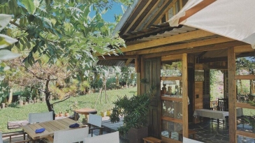 Cafe Farmstay Gia Lai: Thư giãn giữa nông trại cà phê xanh mát