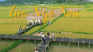 Cafe Lúa Ngô Sơn Gia Lai: Đậm đà hương vị núi rừng Tây Nguyên