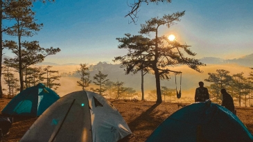 Cắm trại giữa rừng thông Măng Đen – Trải nghiệm thiên nhiên hoang sơ, thơ mộng