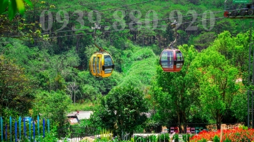 Cáp Treo Đà Lạt Đồi Robin: Trải Nghiệm Cực Phê View Tuyệt Vời