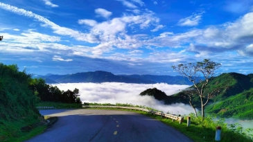 Check-in đỉnh đèo Violak – Tuyệt cảnh Tây Nguyên