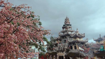 Chùa Linh Phước (Ve Chai): Khám phá kiến trúc độc nhất Việt Nam