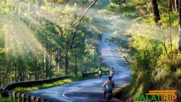 Combo Đà Lạt 2026: Vé máy bay + Khách sạn 3 sao giá ưu đãi