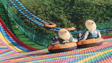 Đà Lạt 2025 Có Gì Hot? Top 10 Điểm Vui Chơi, Giải Trí Được Săn Đón Nhất