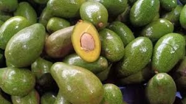 Đắk Lắk: Nơi hội tụ đặc sản thơm ngon, đậm đà bản sắc