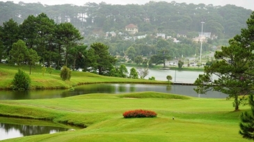 Đánh giá Sân Golf Đồi Cù Đà Lạt: Biểu tượng golf đầu tiên Việt Nam.