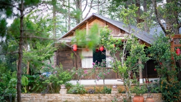 Đi Măng Đen nên ở đâu? Top 5 homestay và resort đẹp nhất 2025