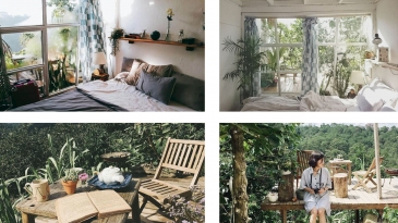 Đợi Một Người Homestay: Nơi an yên giữa bạt ngàn rừng thông.