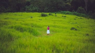 Du lịch Kon Tum: Top điểm check-in sống ảo cực chất bạn phải ghé.