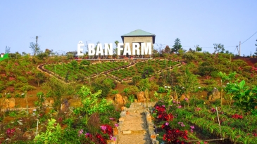 Ê Ban Farm Măng Đen - Địa điểm du lịch hấp dẫn không thể bỏ qua