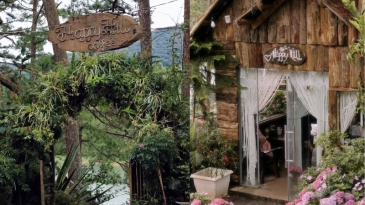 Happy Hill Đà Lạt: Thiên đường chụp ảnh cưới lý tưởng cho tình yêu
