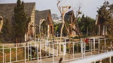 In The Pines: Homestay rừng thông, chốn riêng cho người yêu thiên nhiên