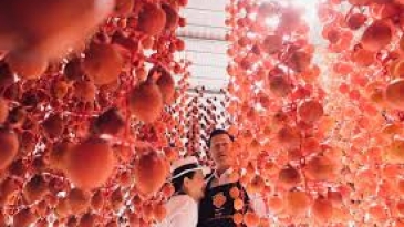 Khám phá 5 vườn hồng Đà Lạt đẹp mê hồn, tham quan miễn phí