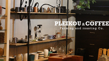 Khám phá Menu Cafe Pleiku: Hương vị núi rừng đại ngàn Gia Lai