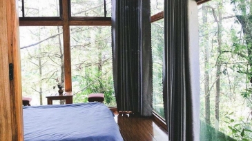 Khám phá Nomini Đà Lạt: Homestay bình yên giữa phố núi mộng mơ