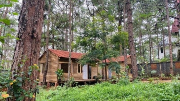 Khám Phá Thiên Hương Homestay Măng Đen - Chốn An Yên Giữa Rừng Thông