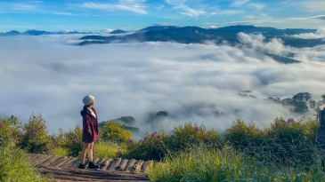 Khám Phá Top Địa Điểm Săn Mây Đẹp Nhất Đà Lạt 2025