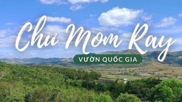 Khám phá Vườn Quốc gia Chư Mom Ray: Thiên nhiên hoang dã