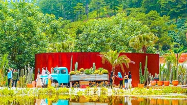 Kombi Land Đà Lạt: Vườn xương rồng lớn nhất, trải nghiệm độc đáo