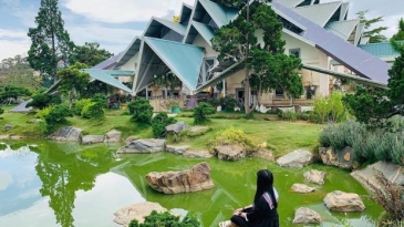 Lá Phong Đà Lạt 2026: Điểm check-in 