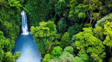 Măng Đen Có Bao Nhiêu Thác?