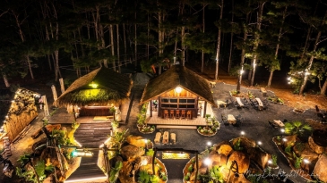 Mộc House Măng Đen: Ngôi Nhà Gỗ Ấm Áp Giữa Rừng Thông Xanh Mướt
