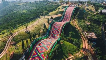 Mongo Land Đà Lạt 2026: Đánh giá chi tiết & Cập nhật giá vé