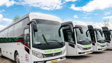 Nhà xe từ Hội An đi Huế: Top lựa chọn tốt nhất hiện nay
