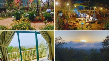 Paradiso Homestay Măng Đen - Nơi An Yên Giữa Rừng Thông