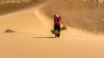 Review 12 Điểm Đến Đẹp Nhất Ở Ninh Thuận 2025 – Trải Nghiệm Nắng Gió Miền Duyên Hải