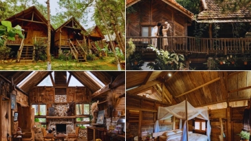 Sóc House Măng Đen: Ngôi nhà bình yên giữa đại ngàn thông xanh