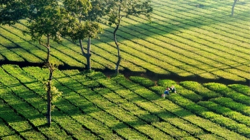 Tây Nguyên có gì đẹp hơn Tây Bắc?