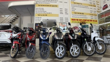 Thuê Xe Máy Số Kon Tum Giá Rẻ, Giao Tận Nơi, Đa Dạng Mẫu Mã