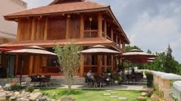 Tiên Dung Đà Lạt: Cafe view đồi thông mơ màng, tình tứ lãng mạn