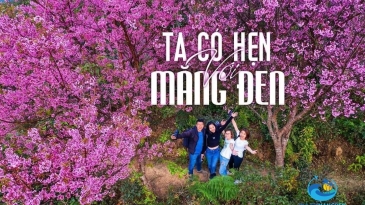 Tips chụp ảnh mùa hoa sim tím ở Măng Đen