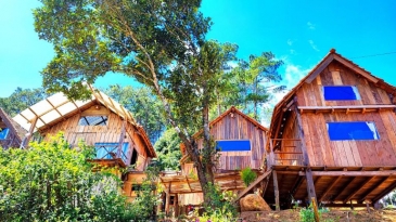 Tổ Chim Ri Măng Đen - Trải Nghiệm Homestay Độc Đáo Giữa Rừng Thông Xanh