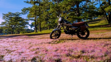 Top 20 Thắng Cảnh Đà Lạt Đẹp Như Tranh – Check-in Là Có Ảnh Triệu Like