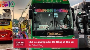 Top nhà xe chất lượng cao từ Gia Lai đi Hội An - Quảng Nam